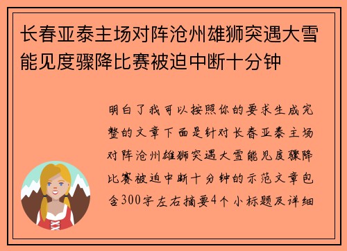 长春亚泰主场对阵沧州雄狮突遇大雪能见度骤降比赛被迫中断十分钟